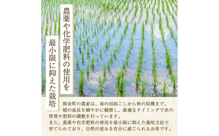【在庫限定】令和7年産米 コシヒカリ 5kg （山崎農園）数量限定