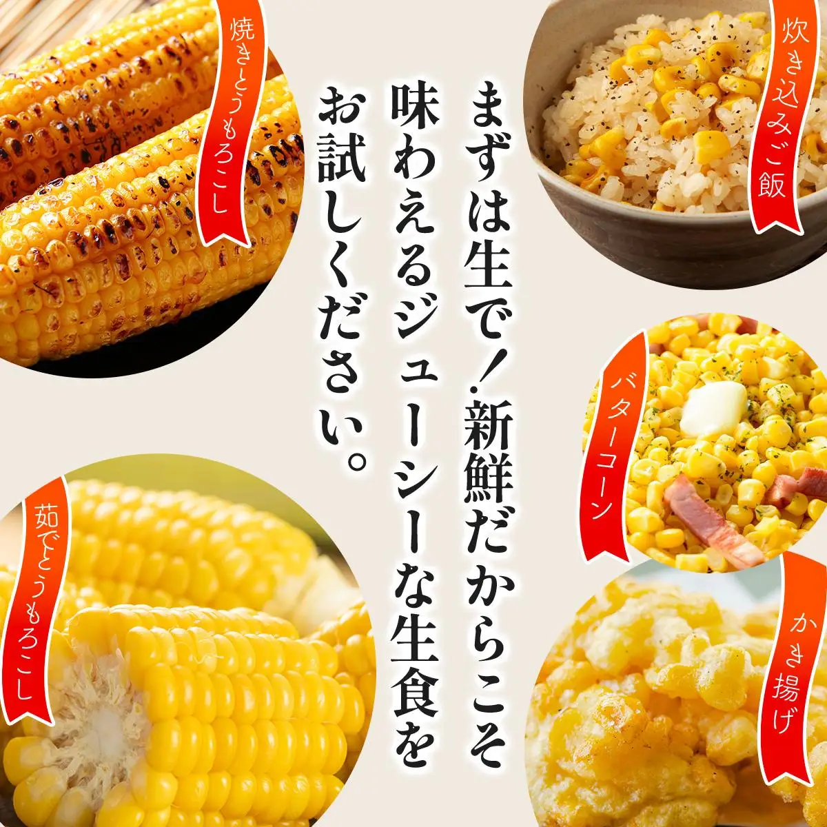 ＜2026年7月中旬～順次お届け＞ スイートコーン・恵味（2Lサイズ）【dnk-003】とうもろこし コーン スイートコーン 野菜 伊達野菜 サラダ 北海道 伊達市