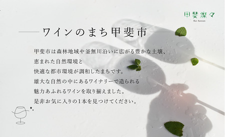 甲斐市産 おまかせワイン各月2本×6か月 計12本定期便 AD-319