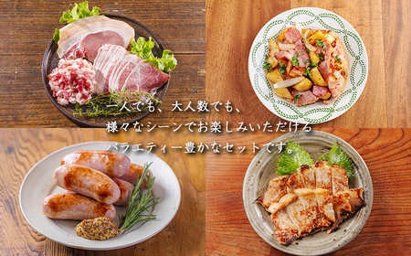 ソヤマポークの加工品詰め合わせ[ロース バラ モモ パンチェッタ サイコロステーキ みそぶた おつまみ パーティー]TF862-P00078
