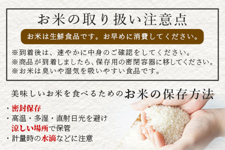 【令和7年度産 米】球磨産 くまさんの輝き 精米 4kg(2kg×2) 白米 お米 こめ ライス 米 熊本県 多良木町 036-0202