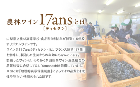 赤白ワイン 2本セット 農林高校ワイン 2024ヴィンテージ定番 