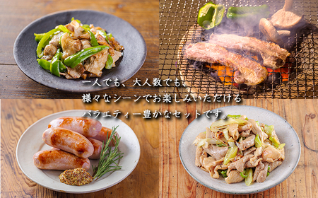 ソヤマポークの焼肉・炒め物セットTF863-P00078