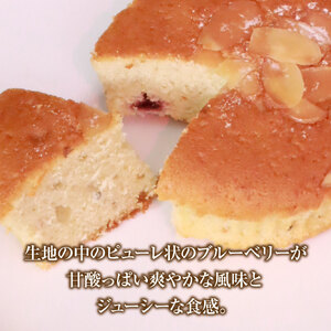 もがり屋のブルーベリーマドレーヌ（5個）　洋菓子　菓子　ケーキ　焼き菓子　お土産　プレゼント　個包装
