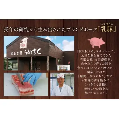 Y04-12 乳豚 チャーシュー800g 豚肉 