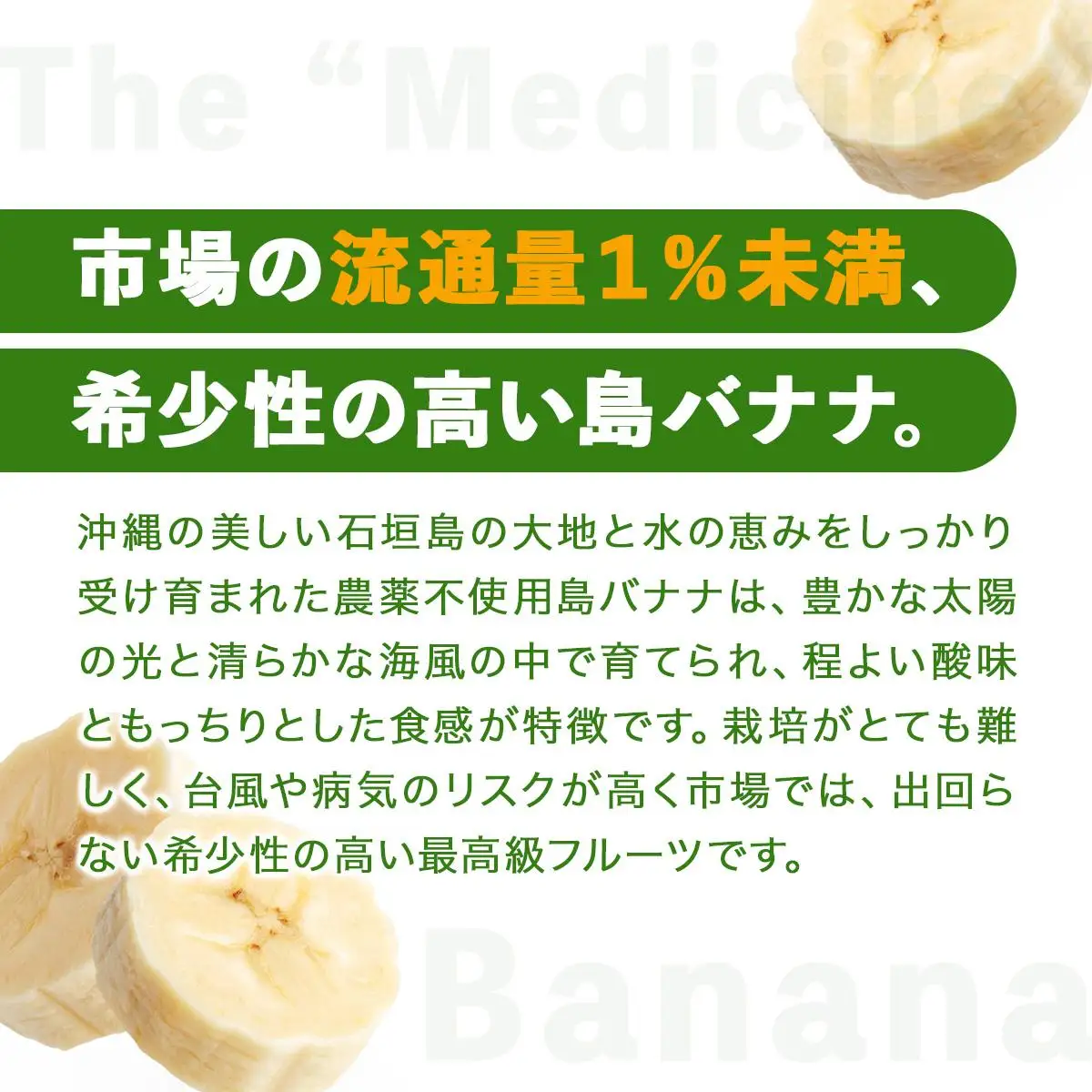 石垣島産 島バナナ 約1kg