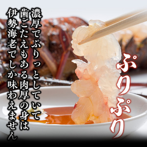 伊勢えび 約800g 産地直送 冷凍 伊勢えび