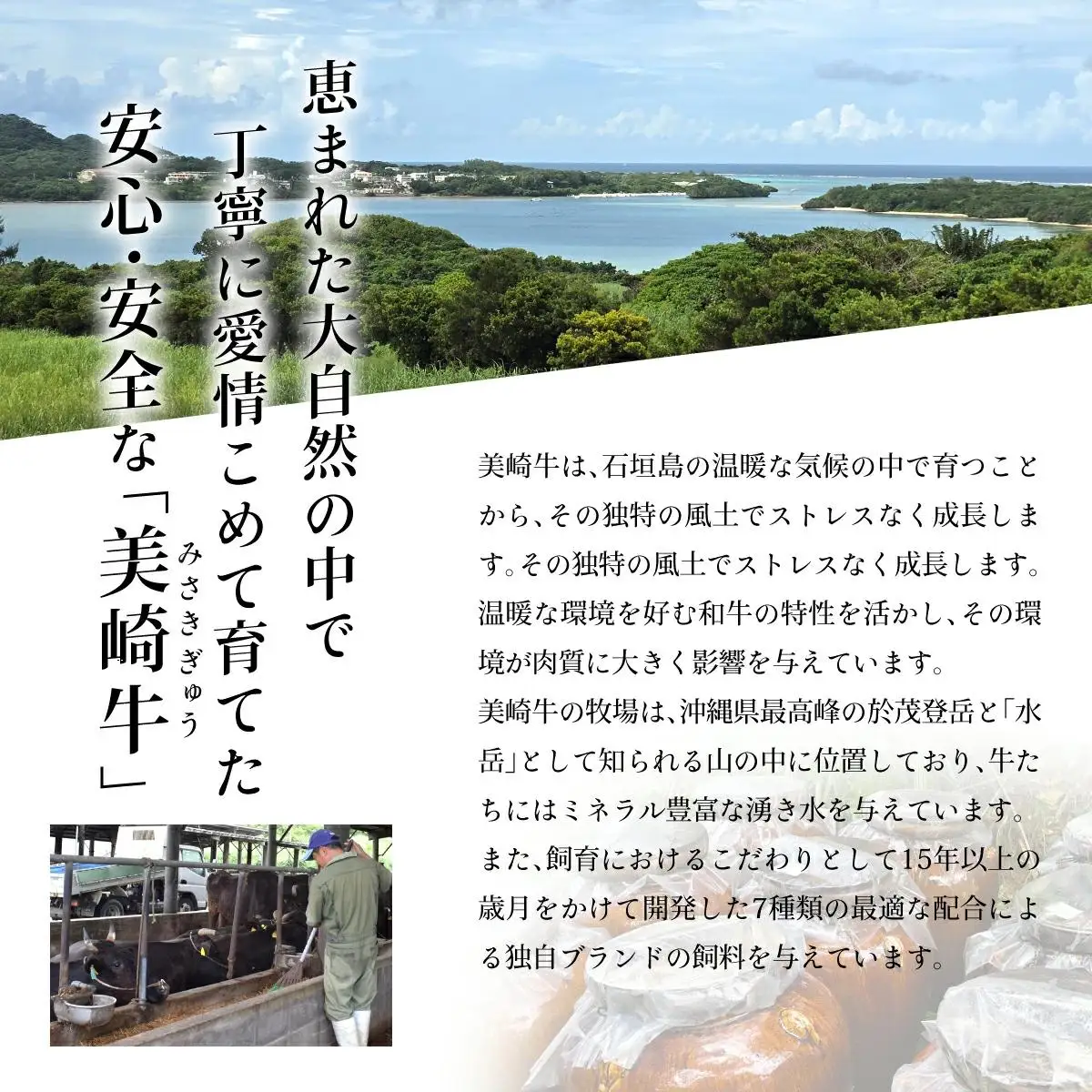 美崎牛 特選上カルビ 300g
