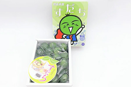 【先行受付】澄んだ空気と清らかな水で育った ハウスすだち 約2kg (2Lサイズ/1kg×2箱)「2026年6月より順次発送」【徳島県 那賀町 国産 すだち スダチ 酢橘 柑橘 果物 青果 特産品 果汁 薬味 酸味 お酒 料理 万能 調味料 産地直送】KF-1