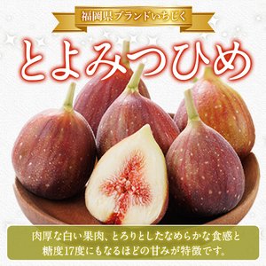 訳あり！冷凍 いちじく とよみつひめ (計2kg・500g×4袋) 冷凍 いちじく イチジク フルーツ 果物 くだもの 福岡限定 オリジナルブランド シャーベット コンポート パンケーキ 訳アリ 真空パック 小分け 【農産物直売所ほたるの里】as52-016