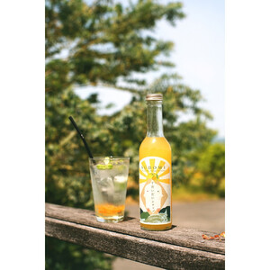 柑橘すだいだいセット1（シロップ1本＆マーマレードジャム2個）　大津島　無添加