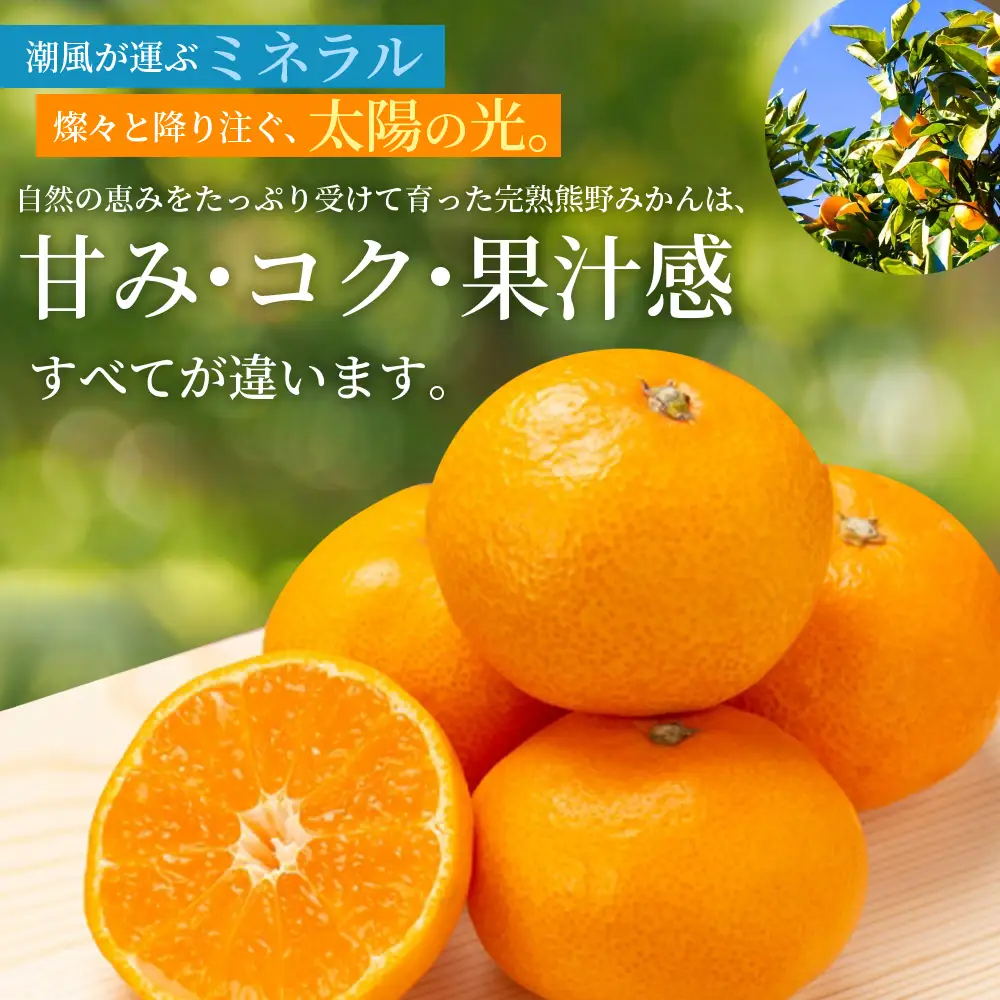 みかん 完熟 熊野みかん 5kg【nkmr0010】
