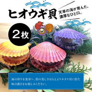 S059-025_海鮮バーベキューセット(2人前)