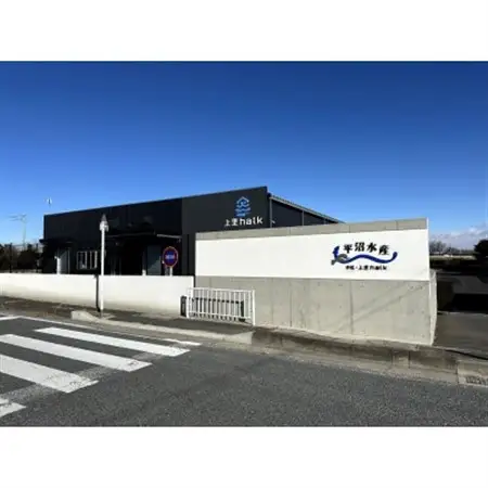 上里育ちの侍うなぎカット済み蒲焼き 1パック50g×4【配送不可地域：離島】【1670348】