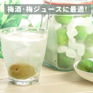【ふるなびWEEK対象】古城梅 約3kg (＋補償100g)【訳あり】 サイズ不揃い カキエモン農園【BX-kkem024-week】