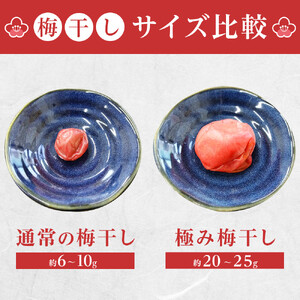 角田市 岸浪園 極み梅干し 塩分約17％ 100ｇ×12パック 限定100個