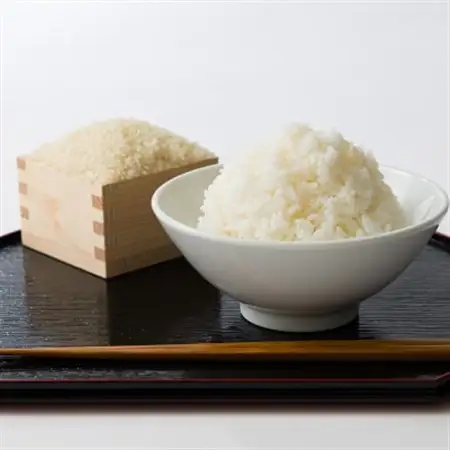 【食味鑑定士厳選】鳥取県産 コシヒカリ10kg(5kg×2袋) 精米【1644303】