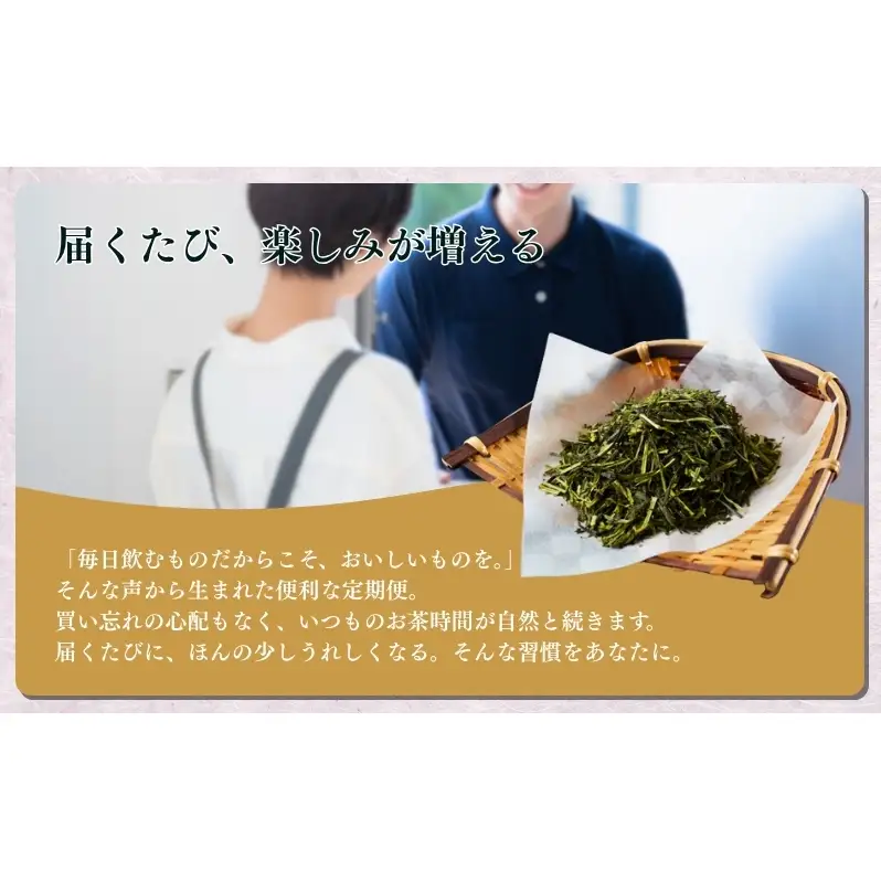 お茶 定期便 6ヵ月 いしだ茶屋 煎茶 お茶巡り ギフト 定期 6回