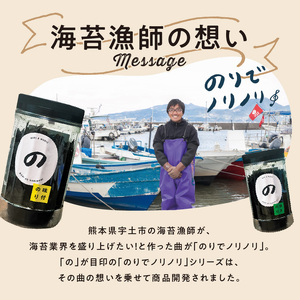 【のりでノリノリ】焼のり(ふりかけ)20g×2個 _U136-0012