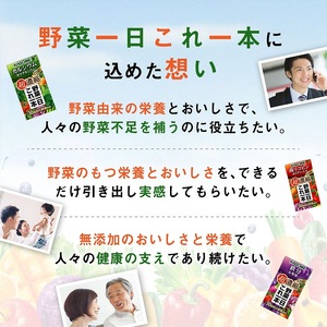 【6ヶ月定期便】野菜一日これ一本 超濃縮 3種セット（24本入×3） [h172]