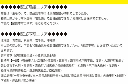 魅惑の柿の葉寿司 さば16個入 (冷蔵) / 和歌山 紀の川 かつらぎ町 鯖寿司 ふるさと納税【A-frks177】