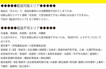 魅惑の柿の葉寿司さば・さけ・じゃこ24個入 (冷蔵) / 和歌山 紀の川 かつらぎ町 鯖寿司 ふるさと納税 すし 魚介類 水産 食品 人気 おすすめ 送料無料【A-frks182】
