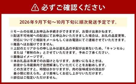 イチジク （とよみつひめ） 約300g×4パック （計約1.2kg） 【2026年9月下旬～10月下旬発送予定】 いちじく フルーツ 果物 くだもの 冷蔵 福岡県 うきは市