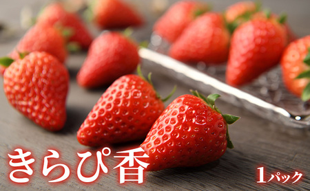 【2027年2月発送】 いちご（紅ほっぺ・きらぴ香）＆柑橘（せとか・不知火）詰合せ 紅ほっぺ・きらぴ香（各1パック） せとか4個 不知火4個 しらぬい デコ 苺 ミカン【配送不可：離島】 静岡 浜松市