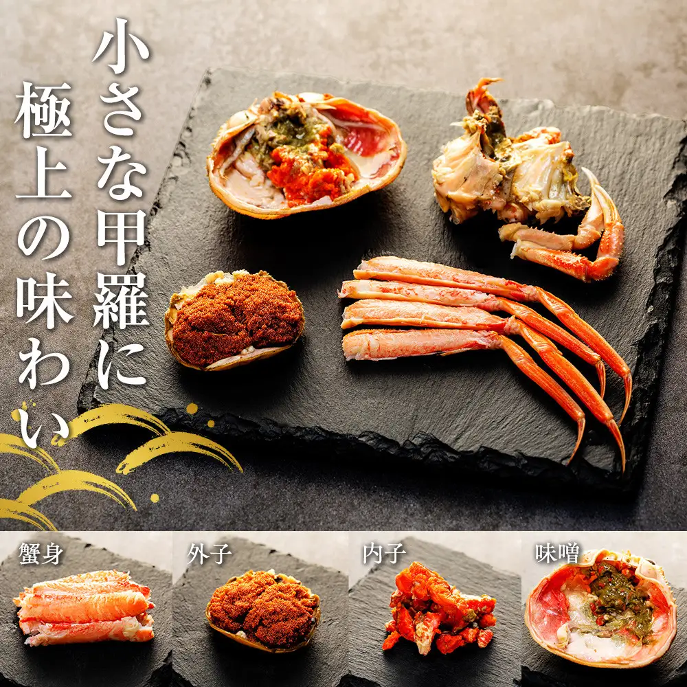 【訳あり】 金沢港より直送！ ボイル 香箱ガニ 8杯セット 釜茹で 冷蔵 先行予約 2026年発送