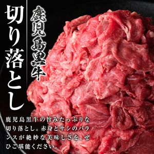【F01001】＜定期便・全12回・連続月＞鹿児島黒牛 切り落とし(計約12kg・約500g×2P×12回) 鹿児島 国産 九州産 鹿児島県産 黒毛和牛 国産牛 牛肉 切り落し 切落とし 切落し お肉 冷凍 小分け すきやき すき焼き 牛すき 牛丼 カレー 肉じゃが 炒め物 【新村畜産】