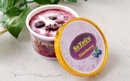 SOYOGU8個セット ブルーベリー 豆乳 8個 阿蘇 アイス 熊本県産