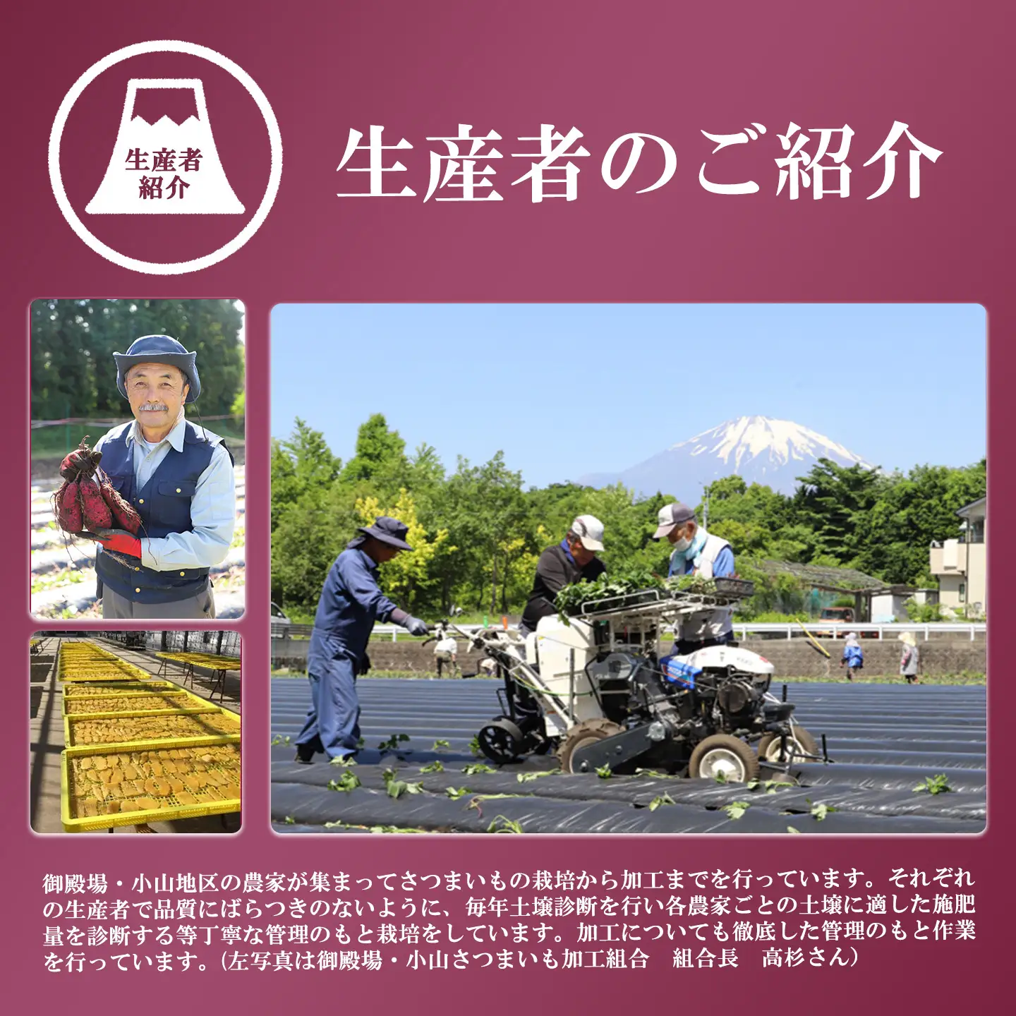 先行予約 干し芋 15袋1.95kg 干し芋