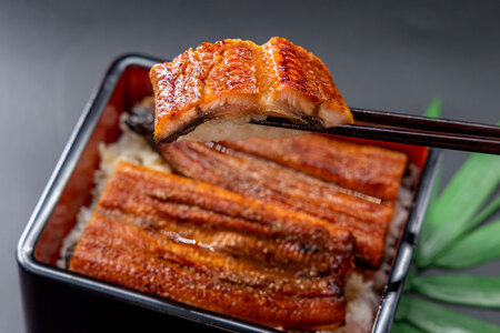 うなぎ 国産 うなぎ蒲焼セット カット4P (80g×4P 小袋たれ山椒付×4P) [静岡うなぎ漁業協同組合 静岡県 吉田町 22424688]