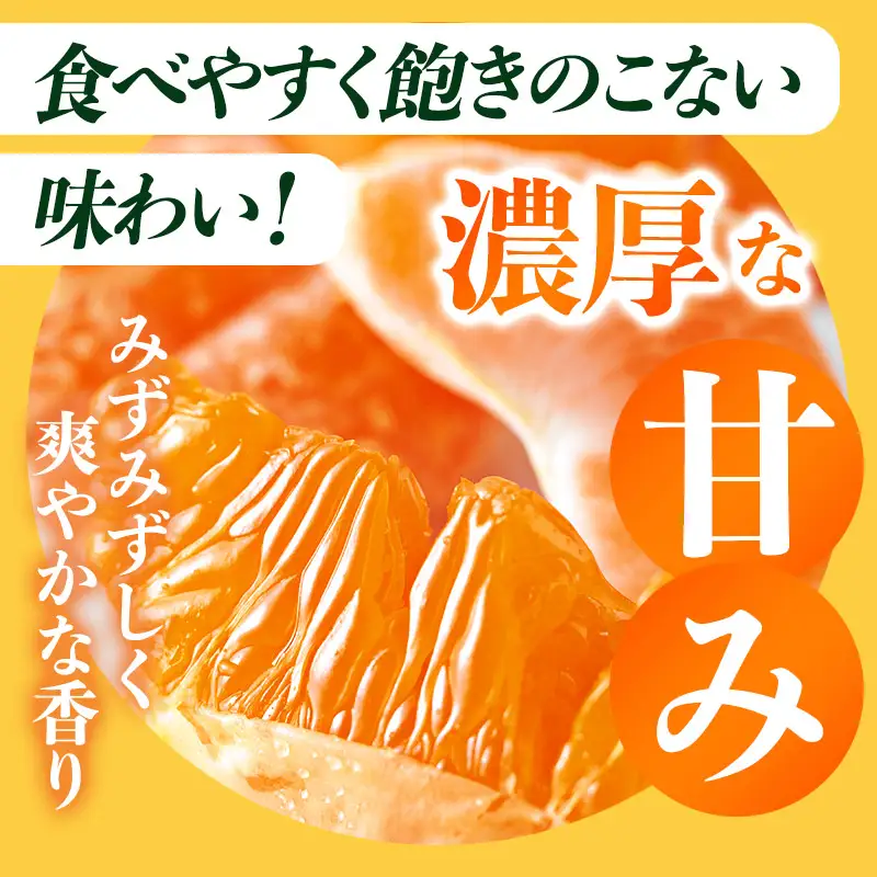 【先行予約】愛媛みかんバラ詰め（1.5kg）