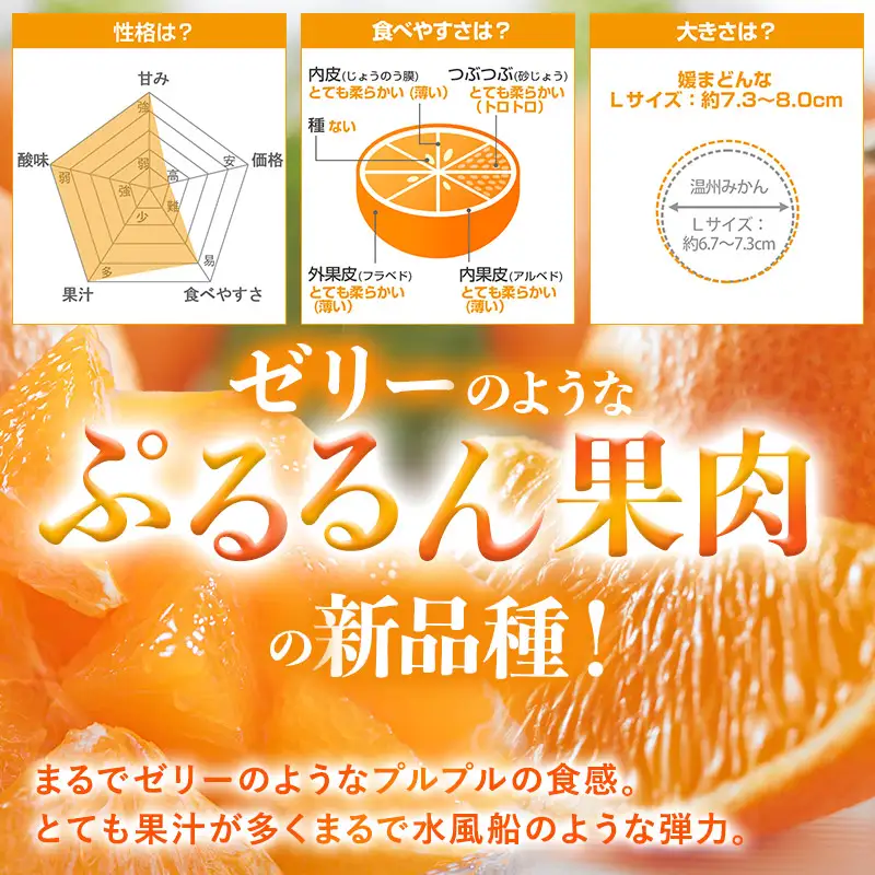 【先行予約】媛まどんな（1kg） 