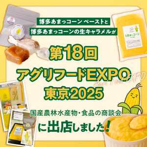 福岡県産 糖度17度以上 博多あまっコーンペースト 1.5キロ_ 博多あまっコーン ペースト 500g × 3パック 冷凍 とうもろこし 国産 メロンより甘い プレミアムコーン ふくおかエコ農産物 コーンペースト フルーツのような甘さ 離乳食 スープ 料理 スイーツ 野菜 酒見農産 お取り寄せ 福岡県 久留米市 送料無料  〔Gv050〕