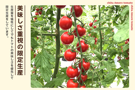 【先行予約】有機栽培ミニトマト　知多アモーレトマト　約500g