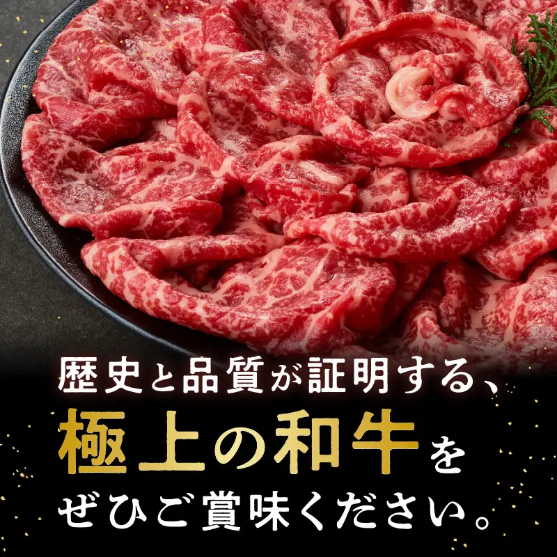 森本牧場産 本格黒毛和牛 筑穂牛 赤身スライス 500g【D8-016】