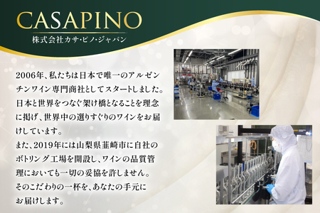 ワイン 赤 ブリサ・アンディーナ メルロー 500ml 12本 セット [カサ・ピノ・ジャパン 山梨県 韮崎市 20745346]