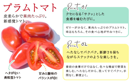 野菜 サラ商品とふるさとフレッシュ便 旬野菜セット