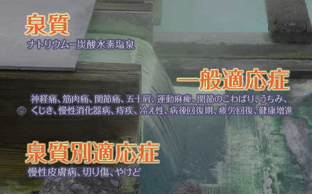 塩の道温泉 ホワイトクリフ ペア宿泊券（和室２食付き）【新潟県 糸魚川市 温泉 塩の道温泉 旅行 観光 宿泊 スキー スノーボード 温泉総選挙 】