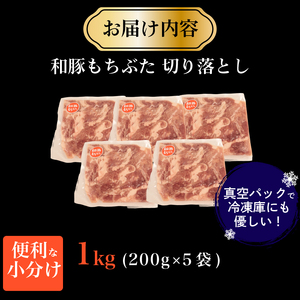 豚  和豚 もちぶた きりおとし  1kg 切落し 切り落し きりおとし 国産 豚肉 katayama003_01