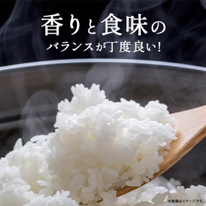 【スピード発送】 令和7年産米 井上米穀店の香るお米 5kg （十和錦 100%）Bib-07 米 ブランド米