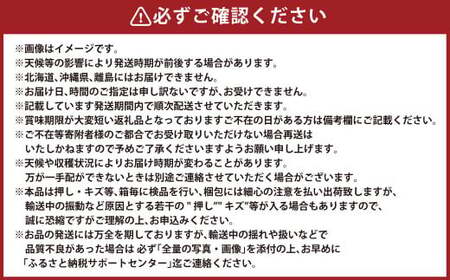 ご家庭用 シャインマスカット 晴王 3～6房 計約2kg 【2026年8月下旬～11月下旬迄発送】 岡山 種無し 種なし マスカット 果物 くだもの フルーツ ぶどう ブドウ 葡萄 冷蔵