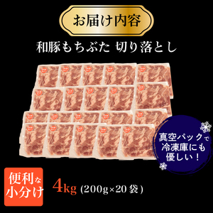 豚  和豚 もちぶた きりおとし  4kg  切落し 切り落し きりおとし 国産 豚肉  katayama006