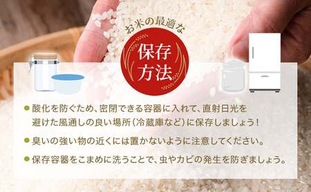 定期便【令和8年 先行受付】しきゆたか 白米 10kg 6か月連続お届け