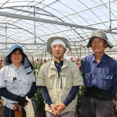 【2026年7月から順次発送・贈答用】今帰仁ゆがふ農園のアーウィンマンゴー2kg(4～6玉)【配送不可地域：離島】【1694712】