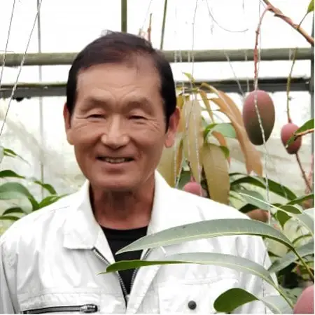 【2026年7月から順次発送・贈答用】美ら宮農園のアーウィンマンゴー2kg(4～6玉)【配送不可地域：離島】【1695311】
