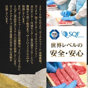 国産黒毛和牛シロホルモンセット　840g A3-383【配送不可地域：離島】【1694678】