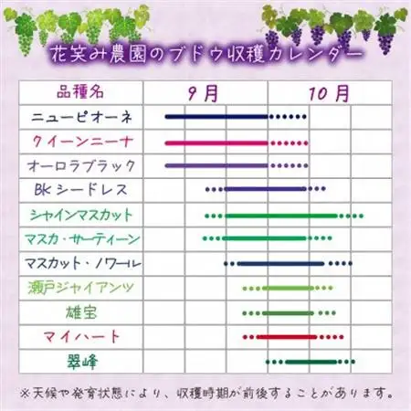 岡山　花笑み農園の『ニューピオーネ＆クイーンニーナ』1kg(2房)PQ-1【配送不可地域：離島】【1693657】